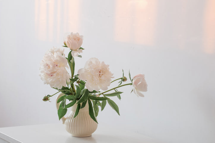 Floral Scents
